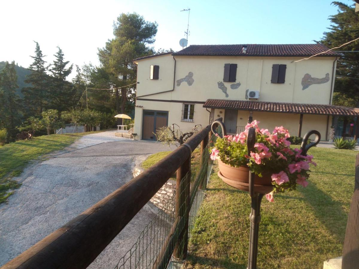 אורבינו B&B Marcello & Francesca מראה חיצוני תמונה
